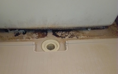 気付かないバスタブエプロン内部の汚れ