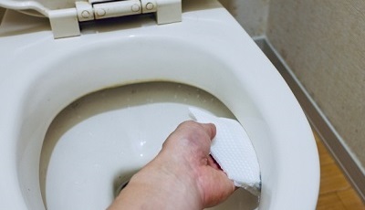 便器内尿石取り