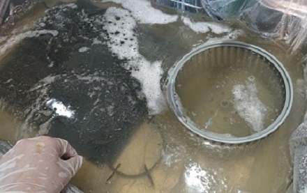 換気扇ファン浸け置き洗い